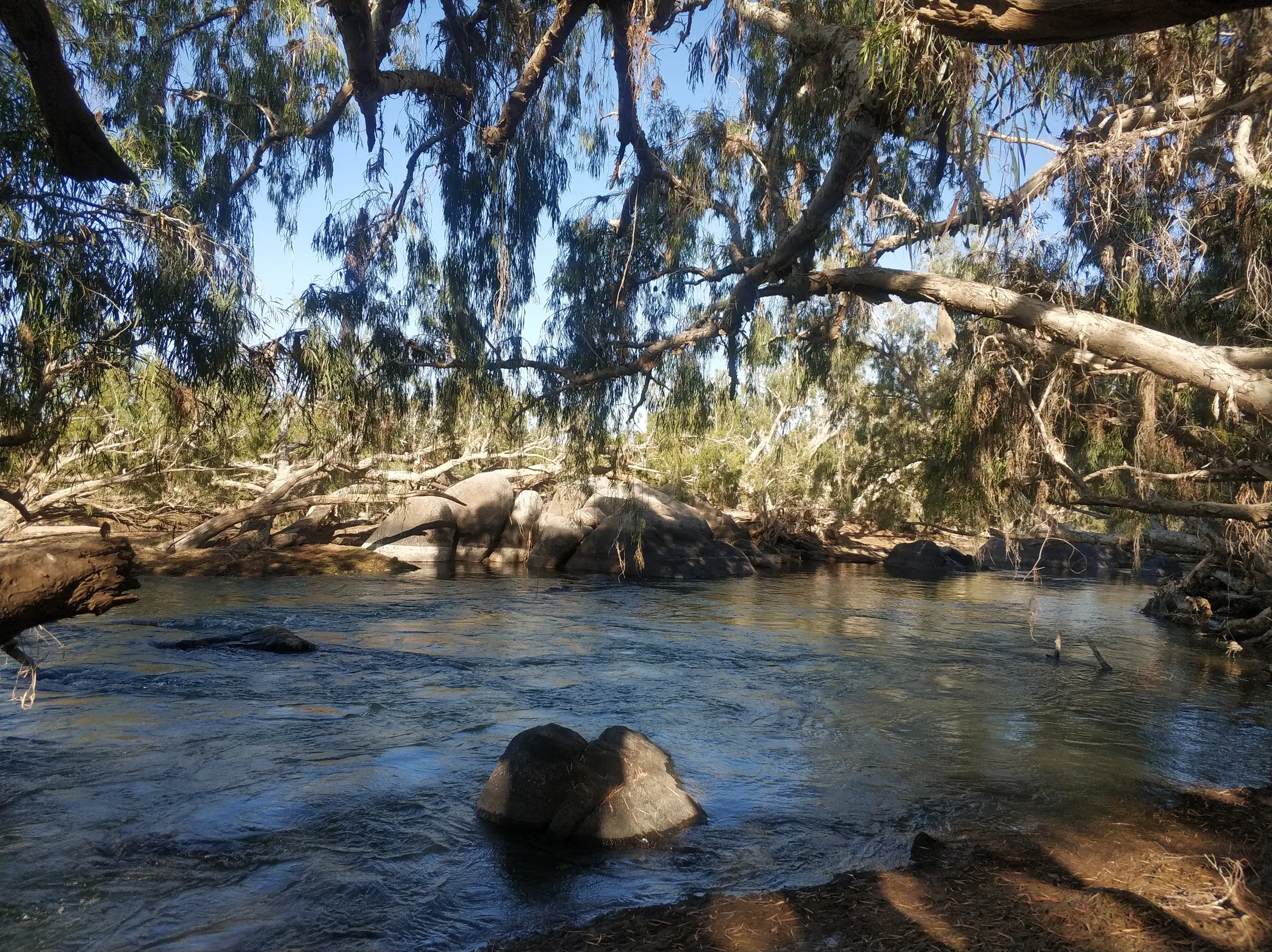 The Burdekin River at Dreghorn, a full-bleed landscape shot behind the Awards page headline