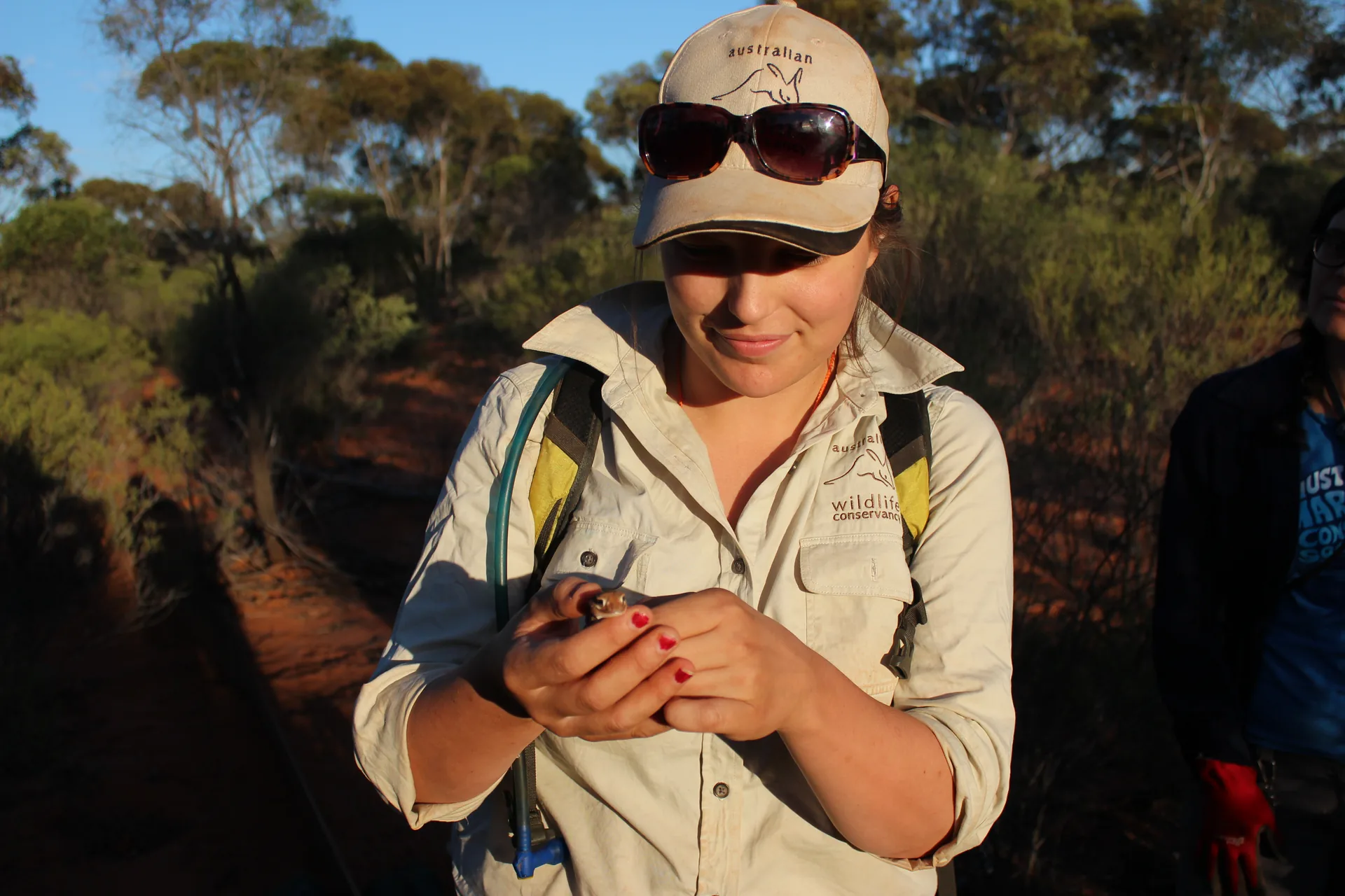 Jess Hodgson examining a small reptile in the field while working with Australian Wildlife Conservancy