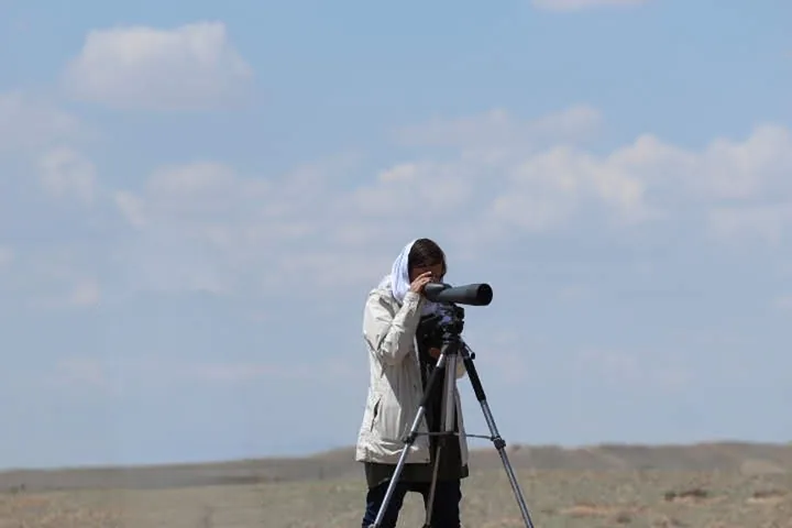 Jess Hodgson scanning the horizon through a spotting scope while birding in Iran