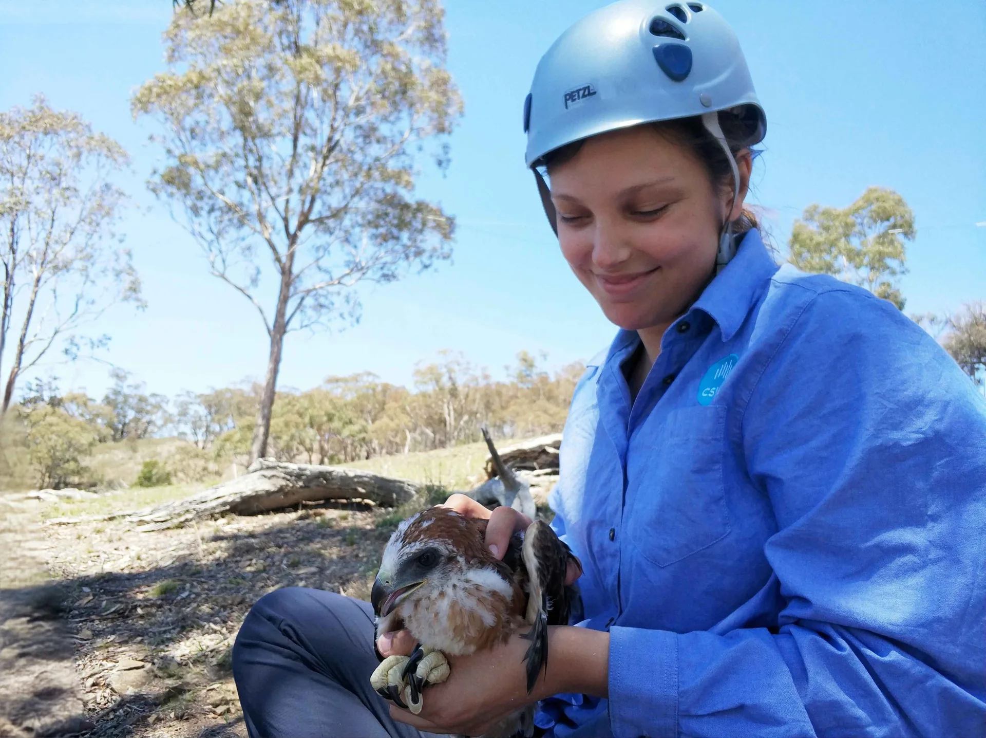 Jess Hodgson holding a little eagle during fieldwork