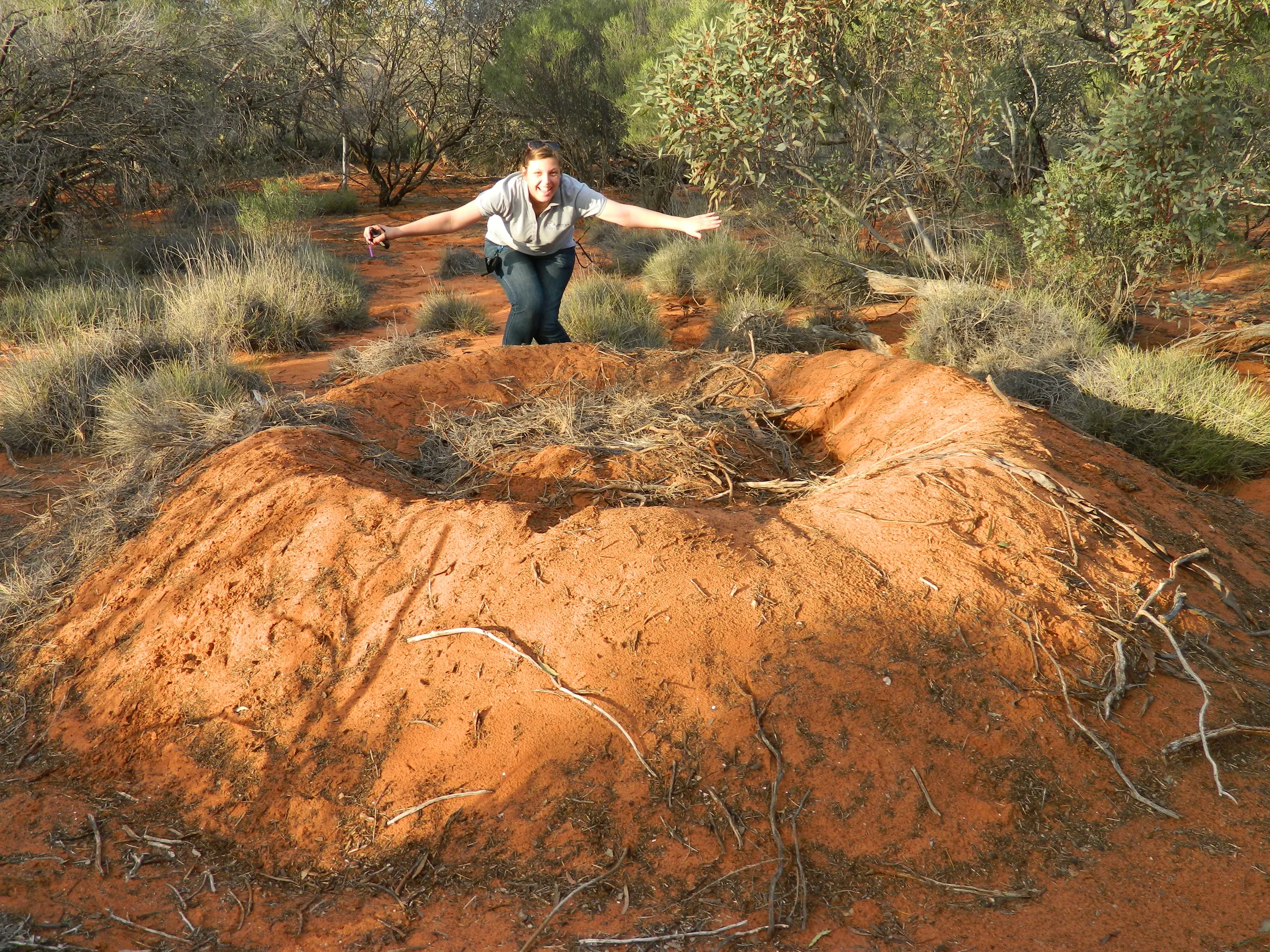Jess Hodgson at a malleefowl mound during fieldwork, a full-bleed landscape shot behind the homepage headline