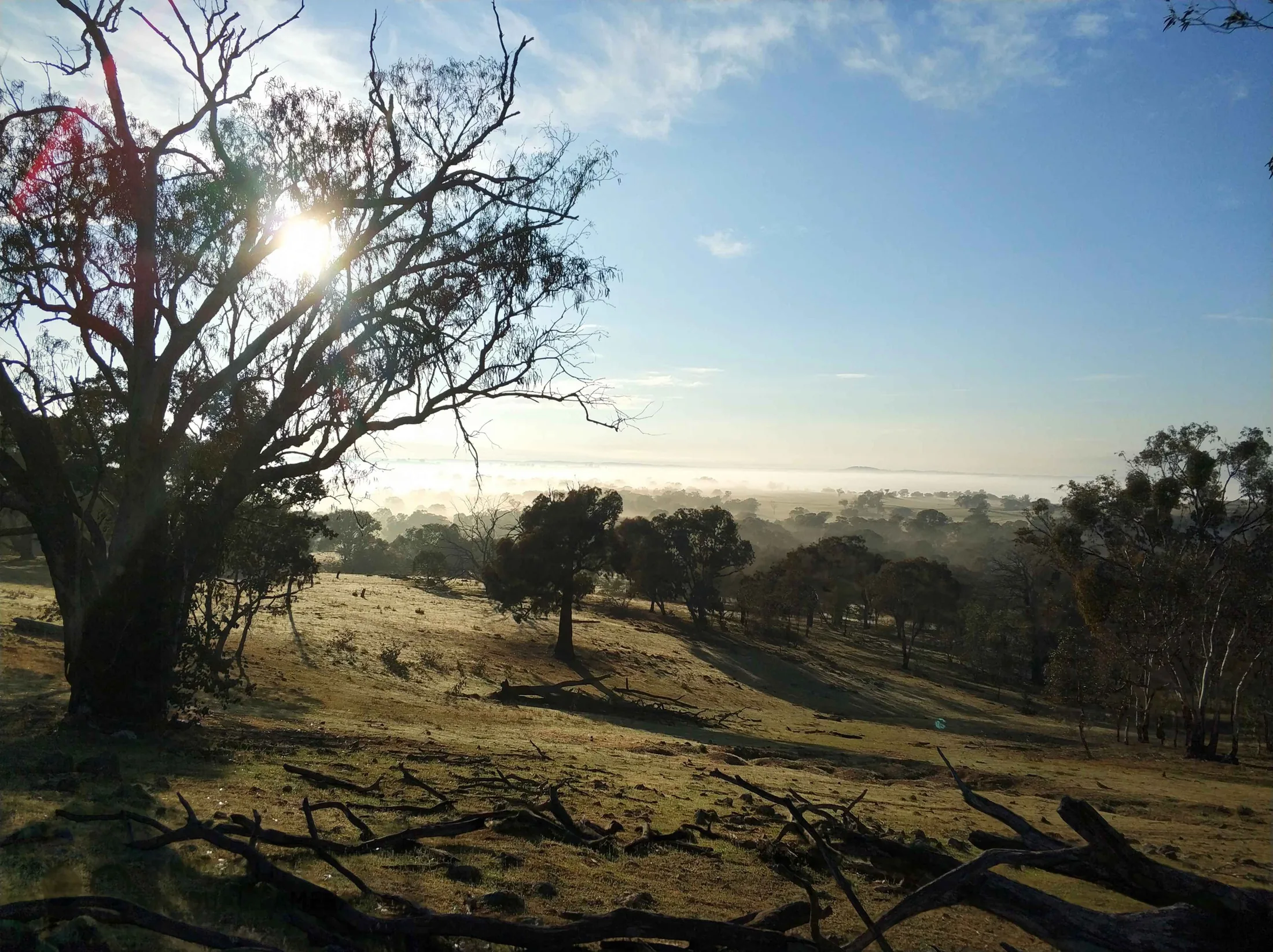 Misty sunrise over open woodland, a full-bleed landscape shot behind the Keystone Scout headline